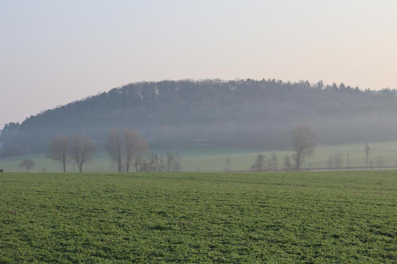 Hotel Zur Altmuehlquelle Windelsbach Esterno foto